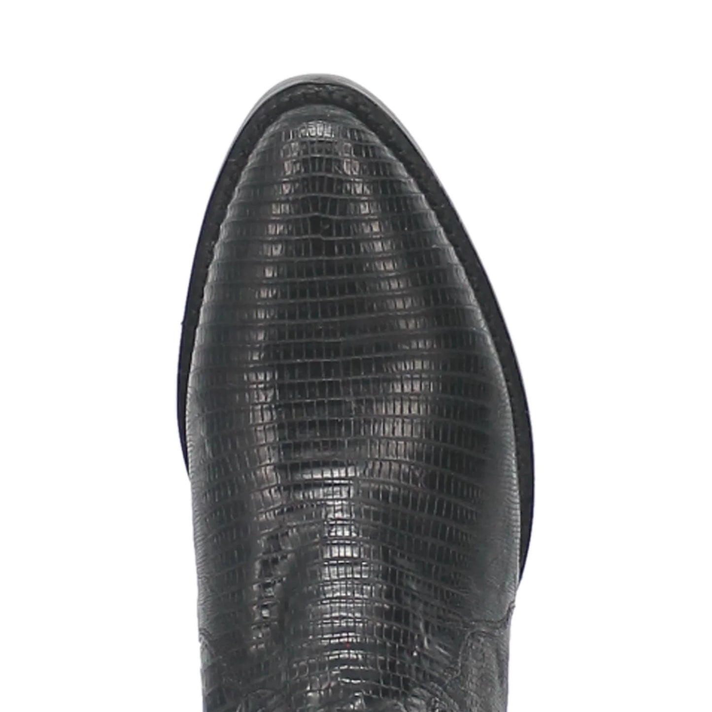 Winston Black Teju Lizard - DP3050R
