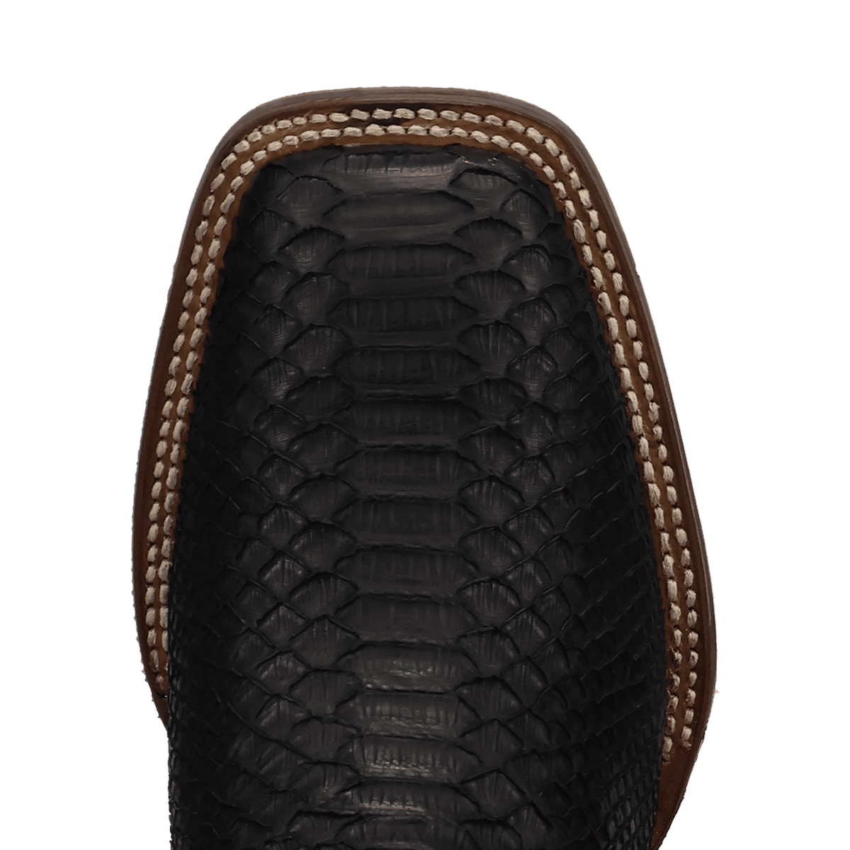 Men's Dan Post Midnight Reign Python Boot - Black - DP5269