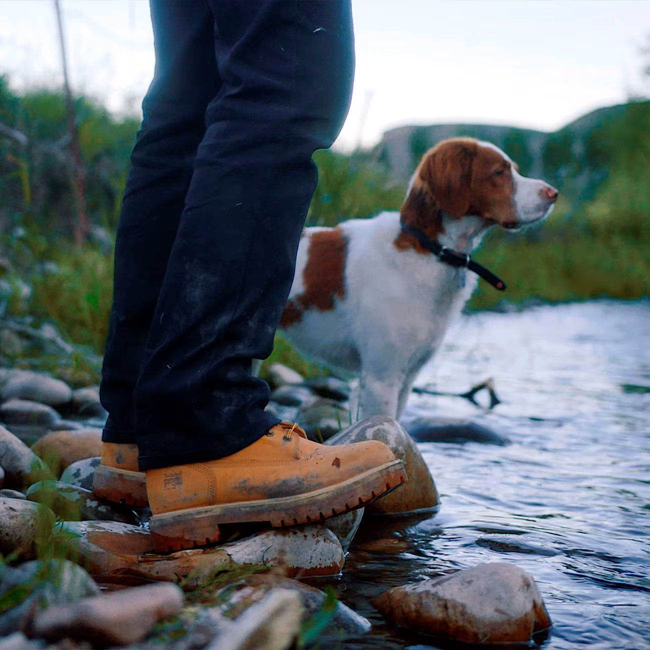 Direct Attach 6" Waterproof Insulated Steel-Toe Work Boot - TB165016713