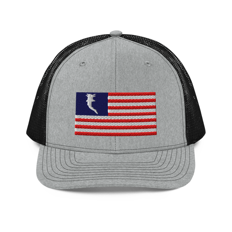 Flag Embroidered RWB (Snapback)