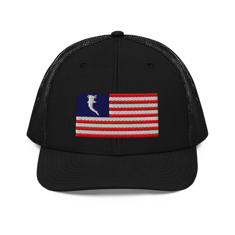 Flag Embroidered RWB (Snapback)