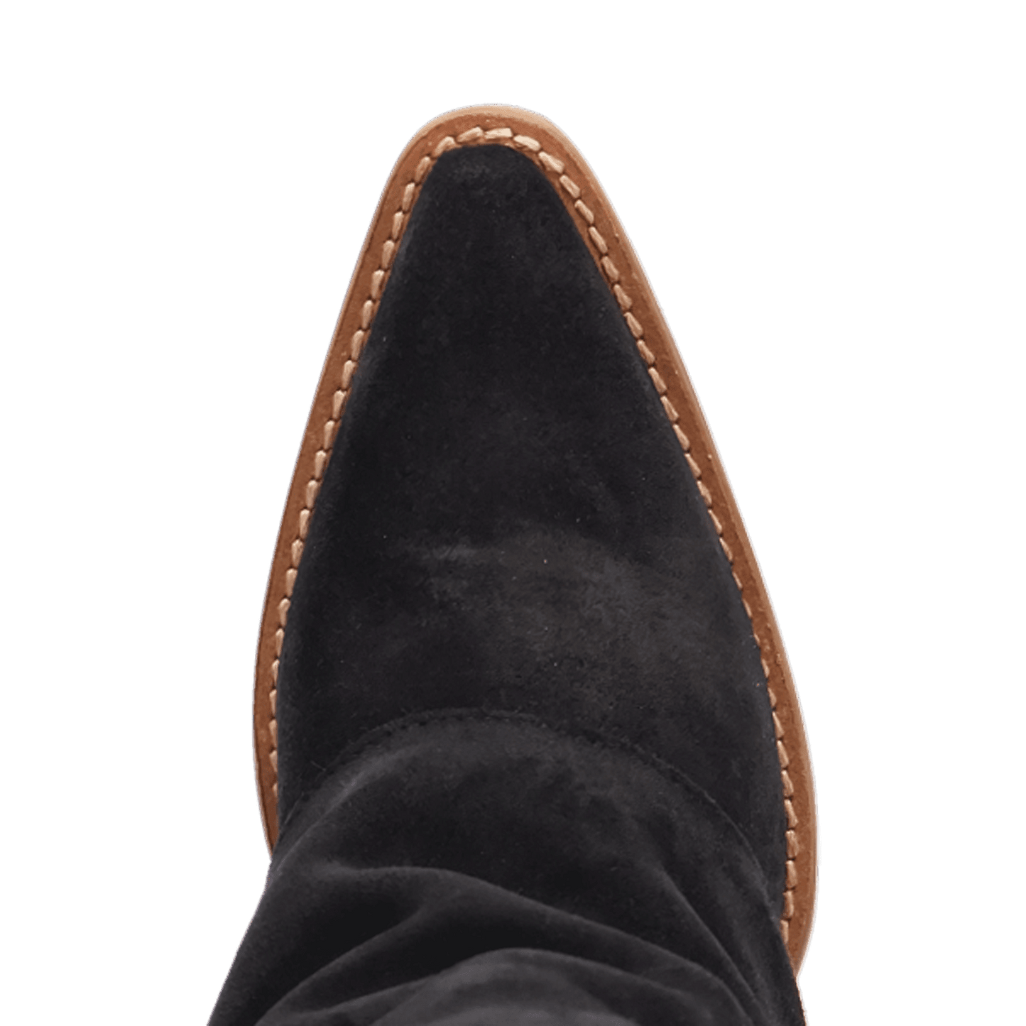 Women's Dingo Buckle Bunny Suede Leather Boot - Black - DI2345-BK