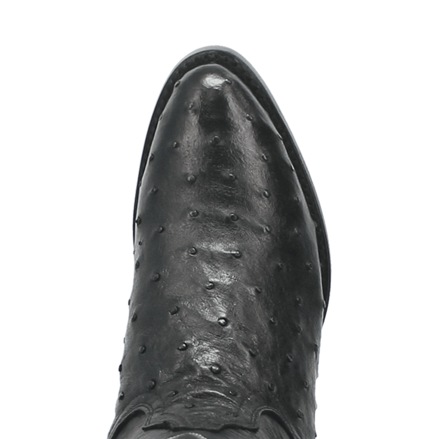 Men's Dan Post Tempe Full Quill Ostrich - Black - DP2321