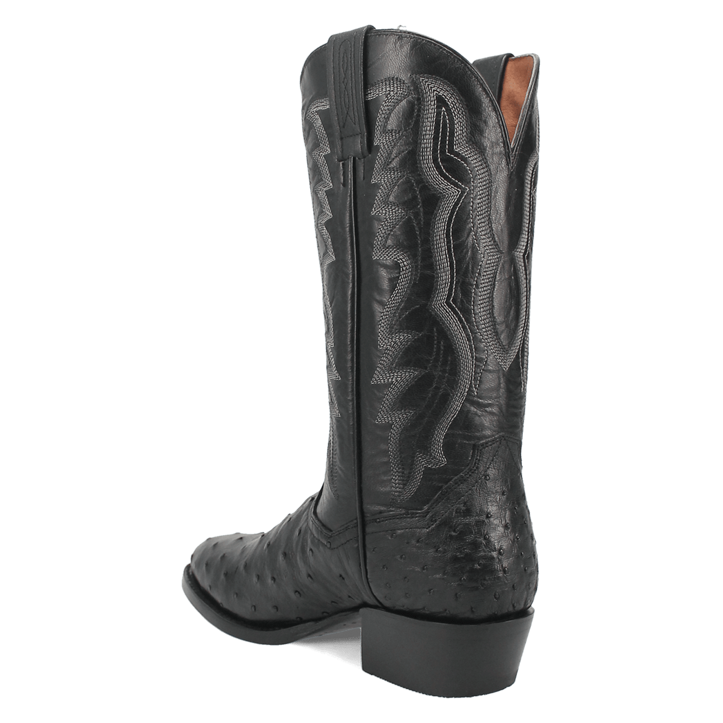 Men's Dan Post Tempe Full Quill Ostrich - Black - DP2321