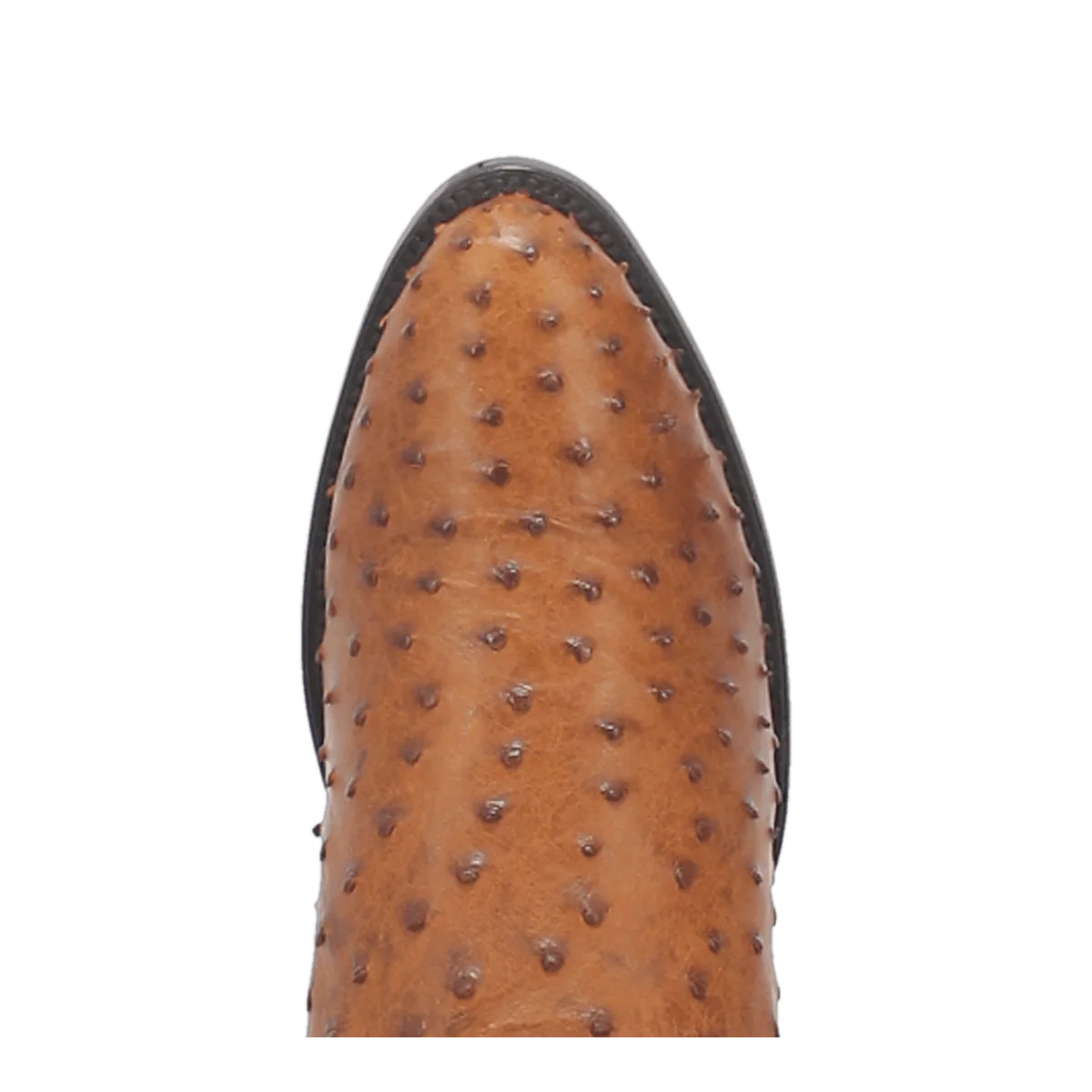 Gehrig Full Quill Ostrich - DP2323