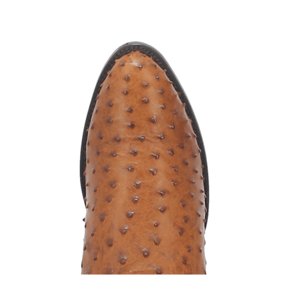 Gehrig Full Quill Ostrich - DP2323