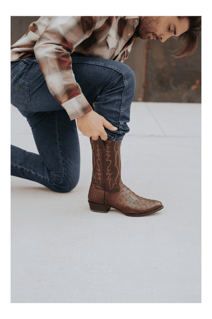 Men's Dan Post Pershing Full Quill Ostrich Boot - Brown - DP3016