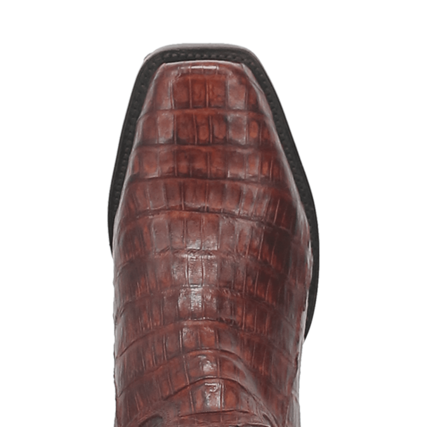 Men's Dan Post Bayou Caiman Boot - Brown - DP3074