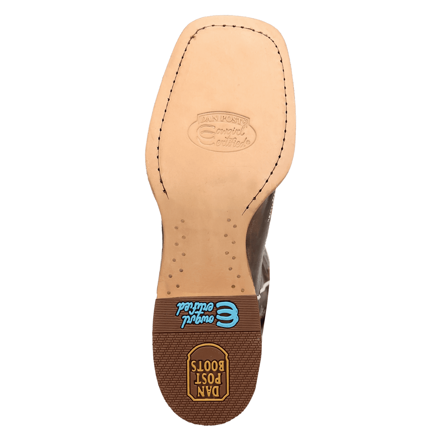 Women's Dan Post Denita Leather Boot - Brown - DP5231