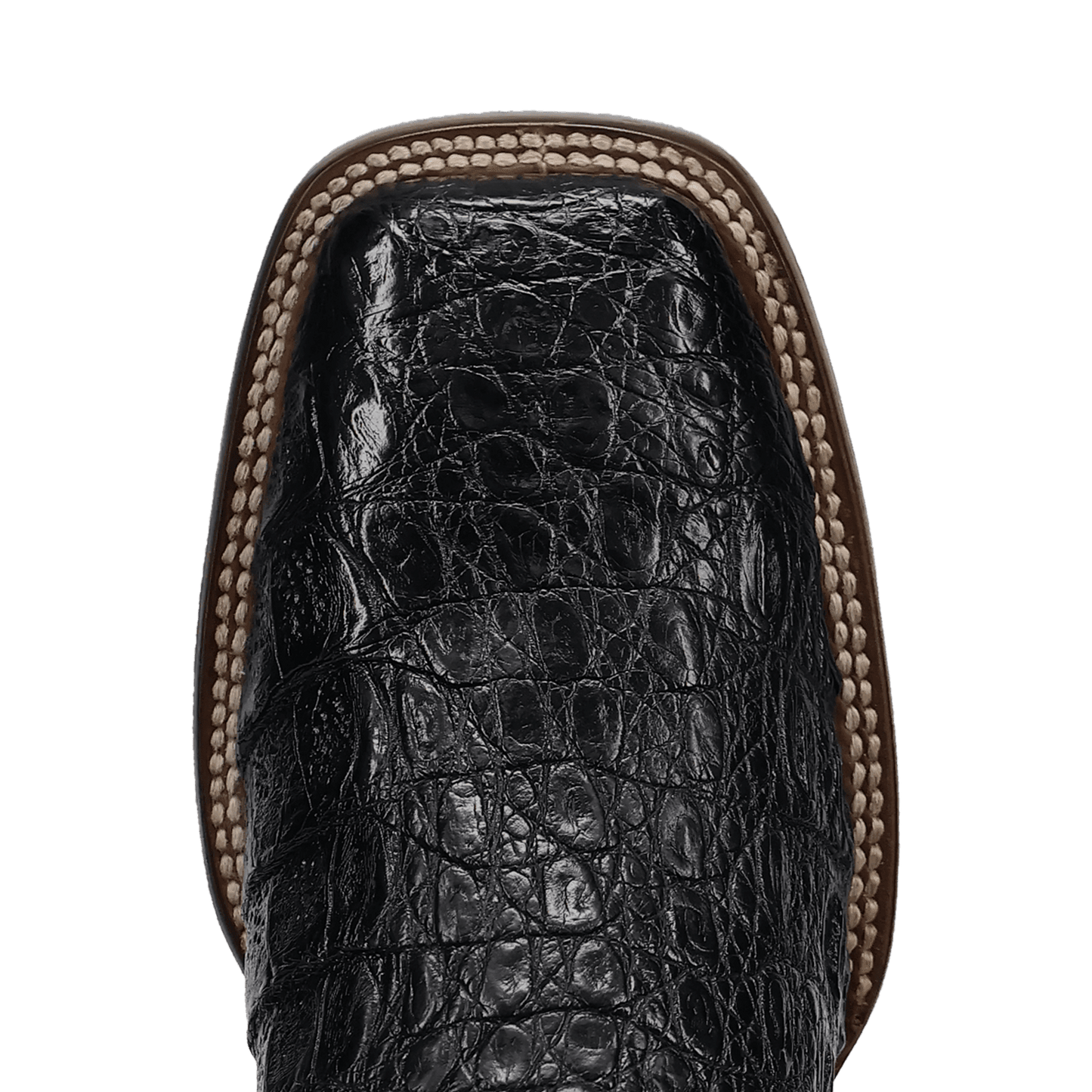 Men's Dan Post Marsh Caiman Boot - Black - DP5240