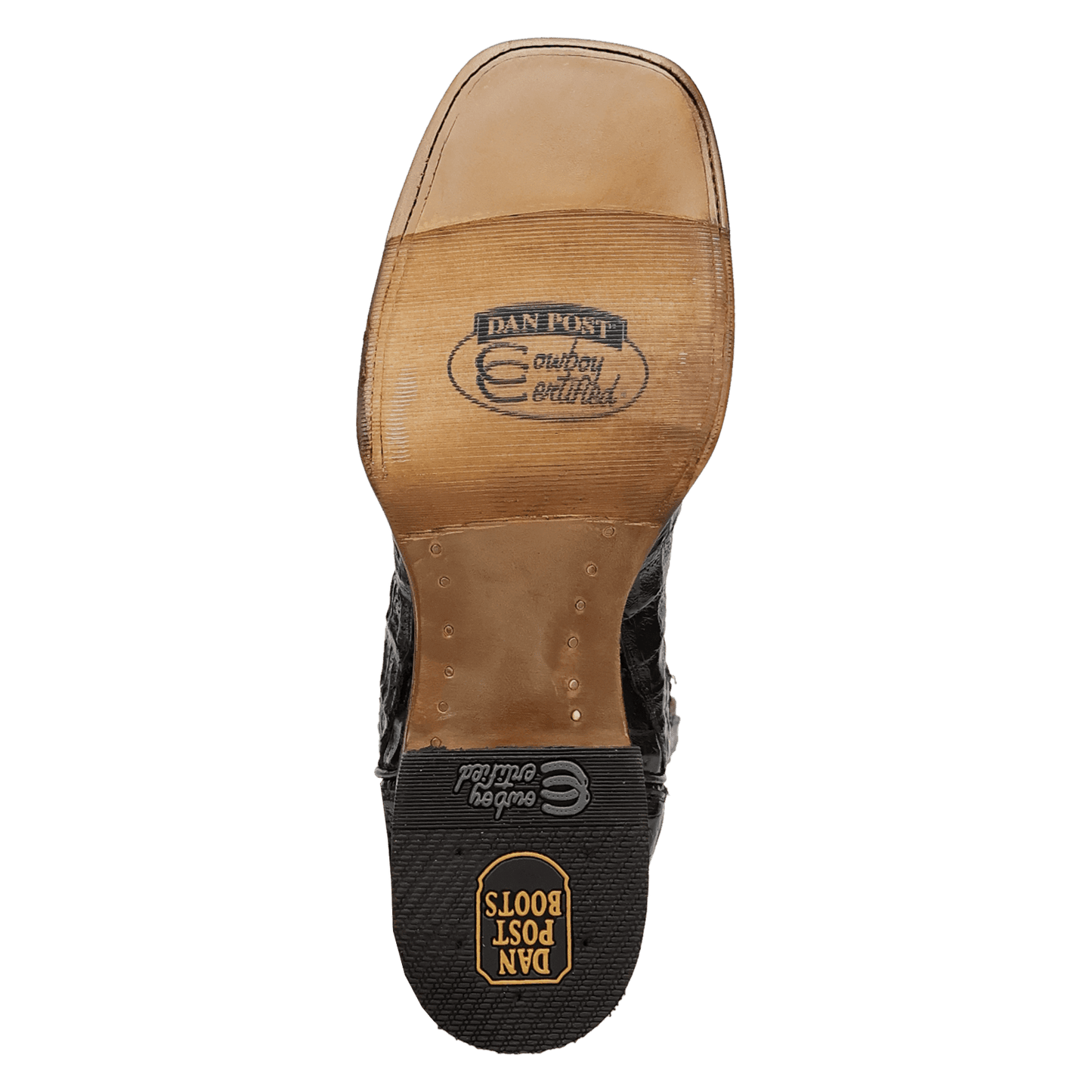 Men's Dan Post Marsh Caiman Boot - Black - DP5240