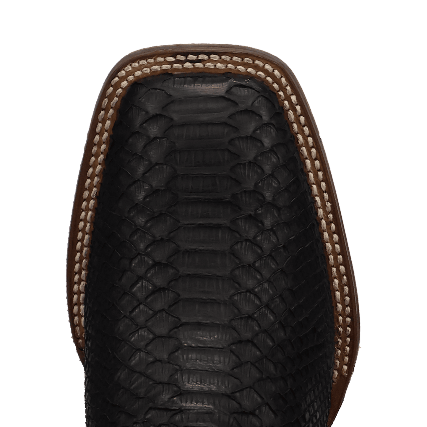 Men's Dan Post Midnight Reign Python Boot - Black - DP5269