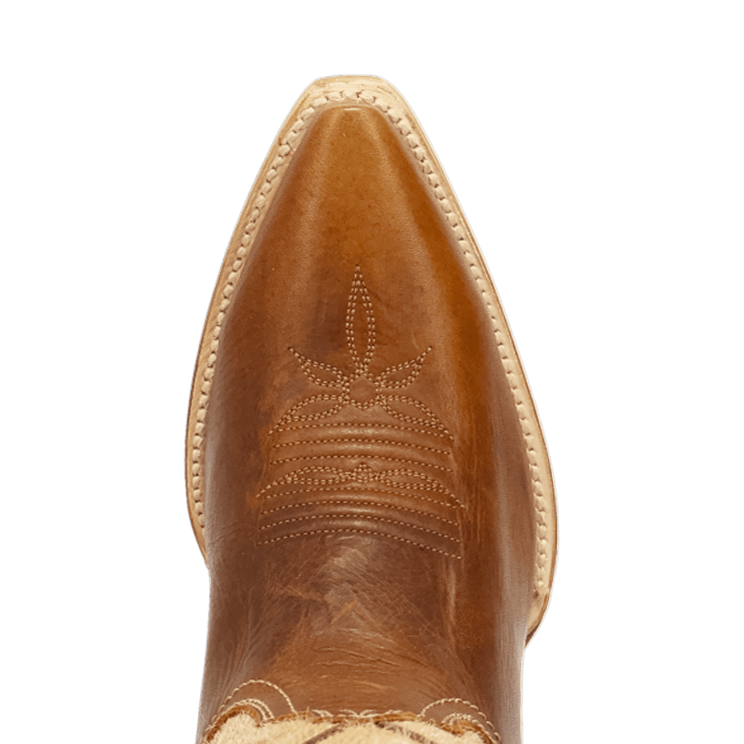 Women's Dan Post Dayla Leather Boot - Brown - DP7059