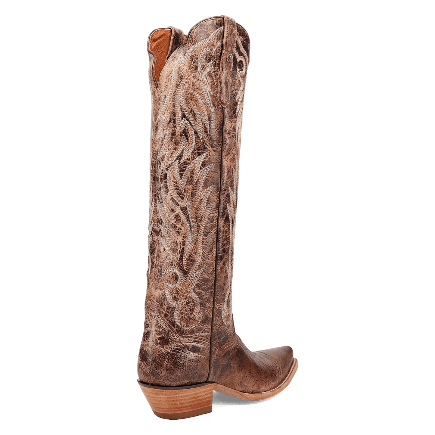 Women's Dan Post Rustic Ridge Leather Boot - Brown - DP7060