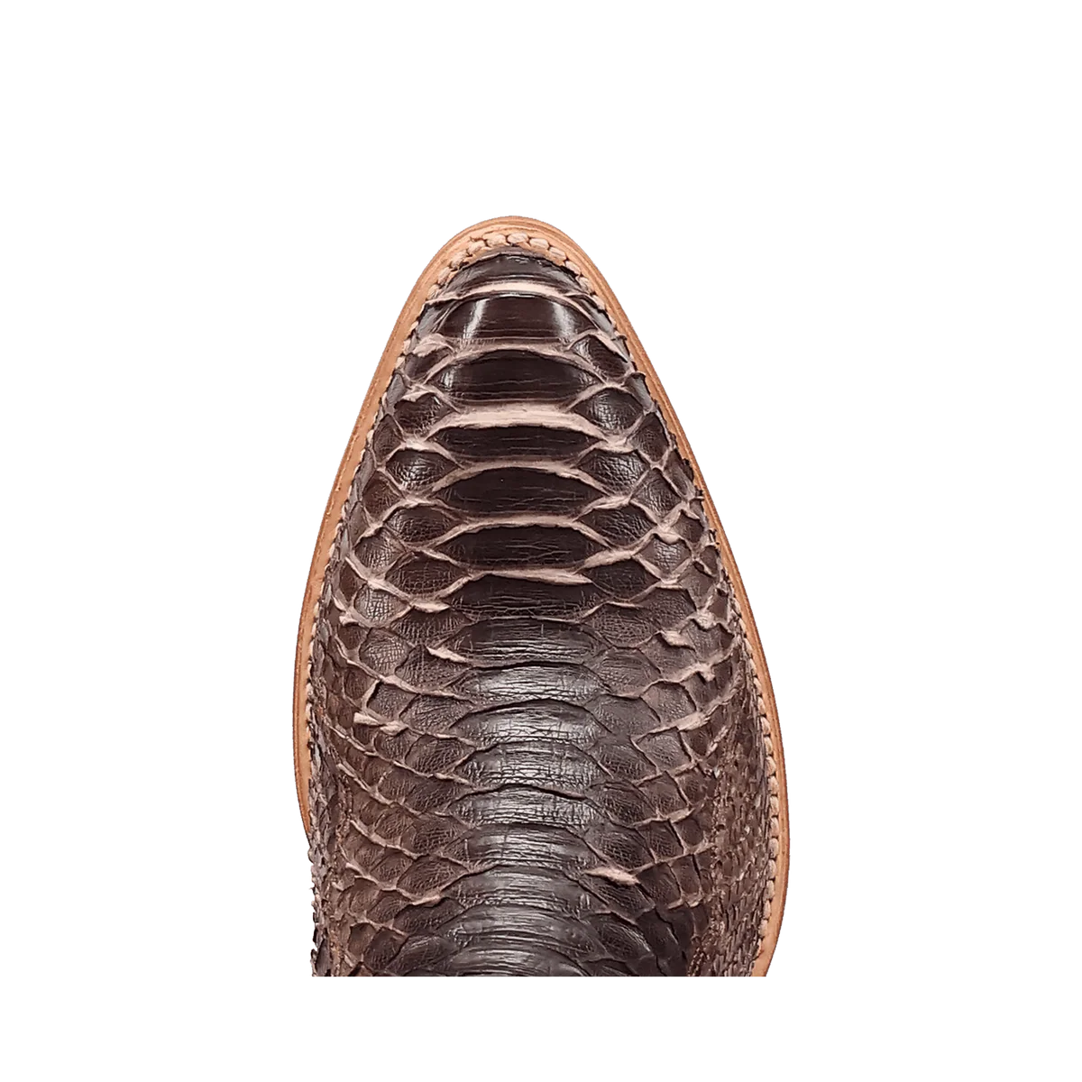 Dan Post - Stryke Back Cut Python J Toe - Bay Apache - DP7131