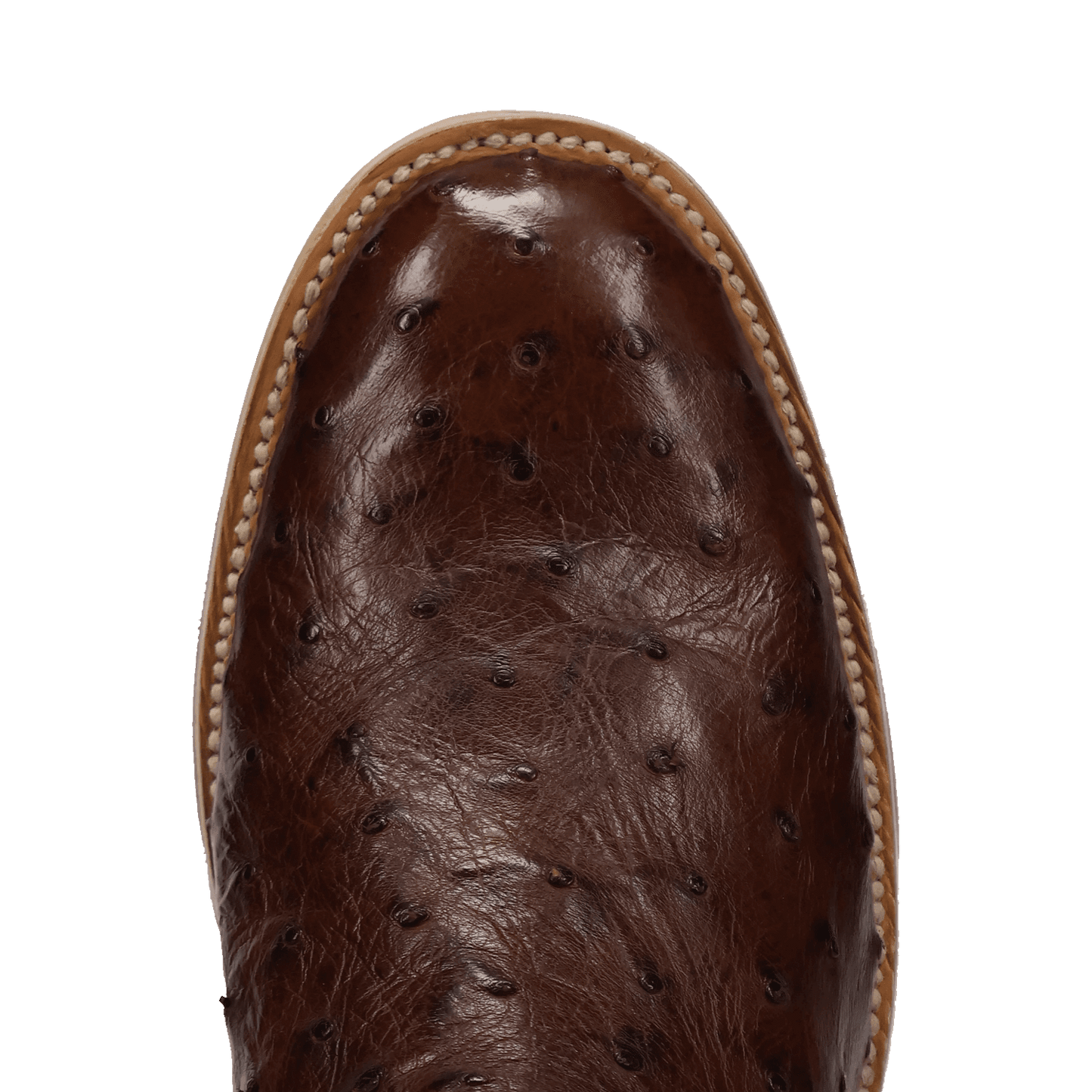 Men's Dan Post Ardor Full Quill Ostrich Boot - Brown - DP7133