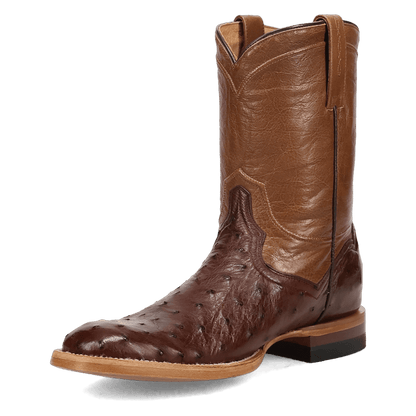 Men's Dan Post Ardor Full Quill Ostrich Boot - Brown - DP7133