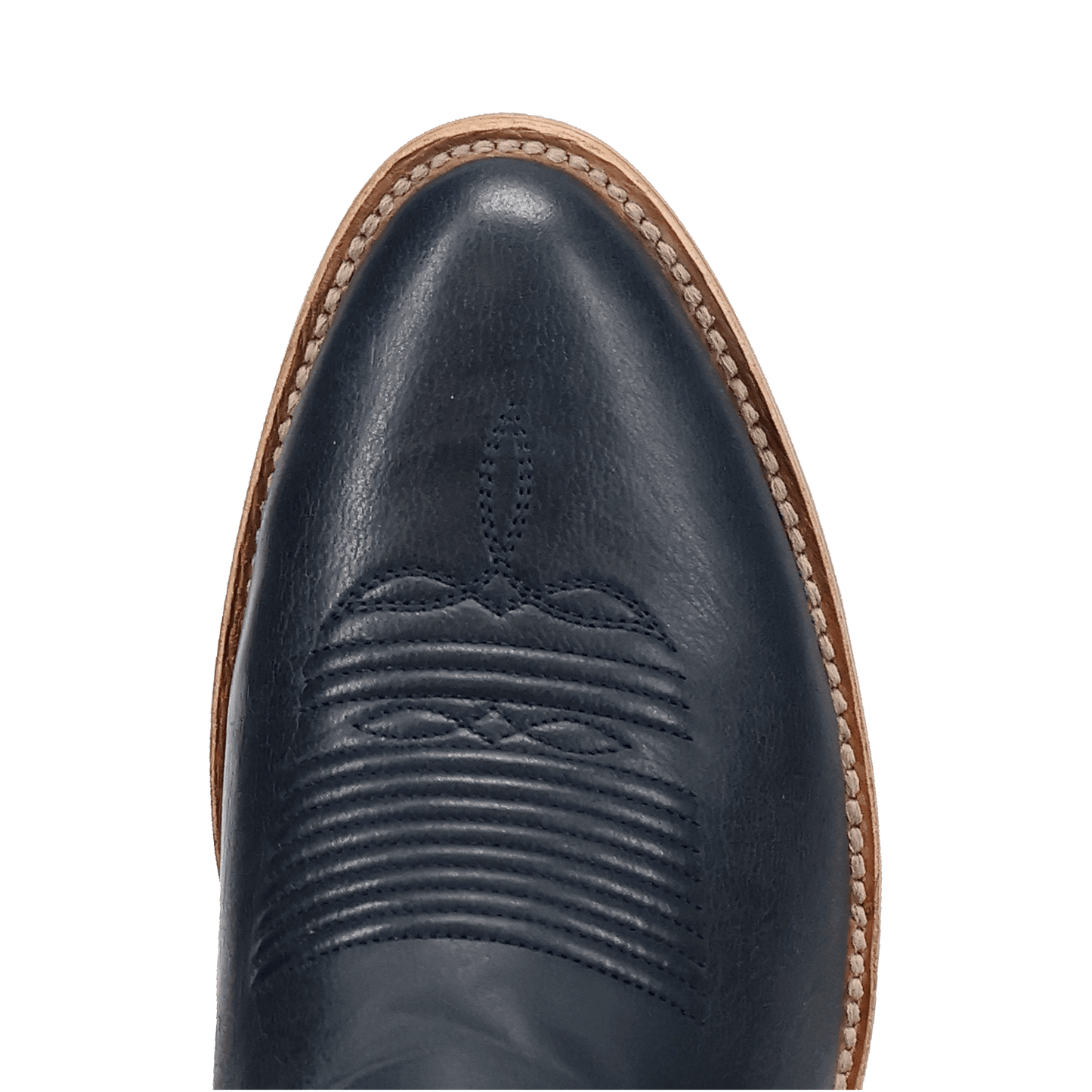 Men's Dan Post America 250 Leather Boot - Blue - DP7167