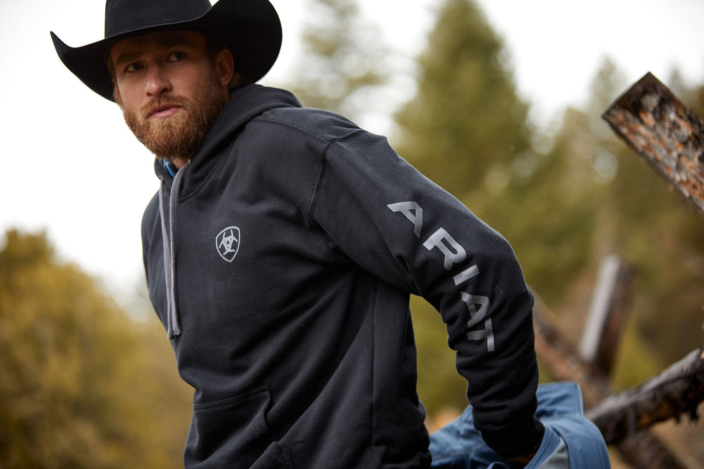 Ariat Logo Hoodie Black