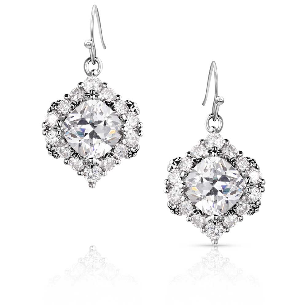Refined Light Crystal Earrings - ER6037
