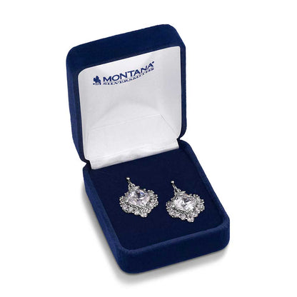 Refined Light Crystal Earrings - ER6037